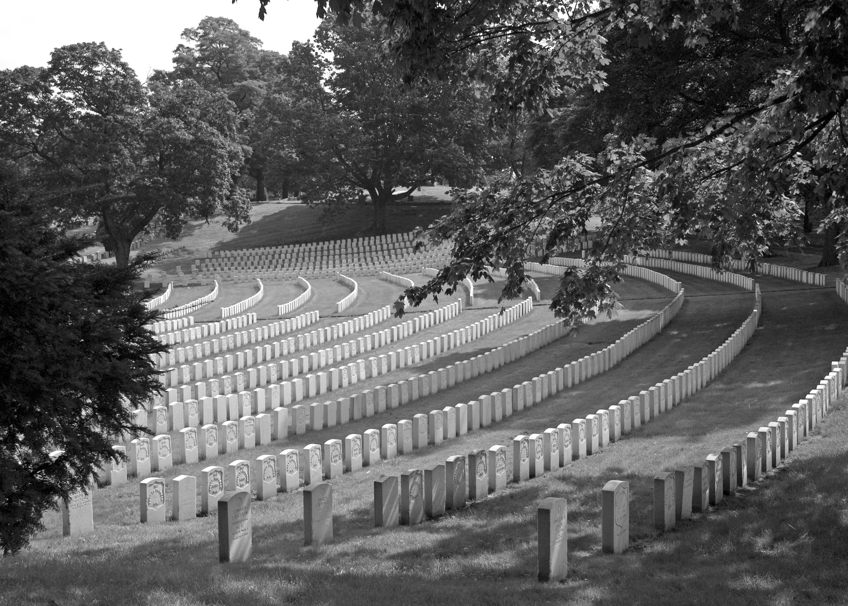 black and white photograph of a military cemetery