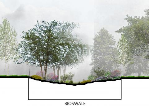 bioswale section from a student project