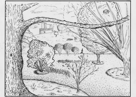 arboretum sketch by first year student