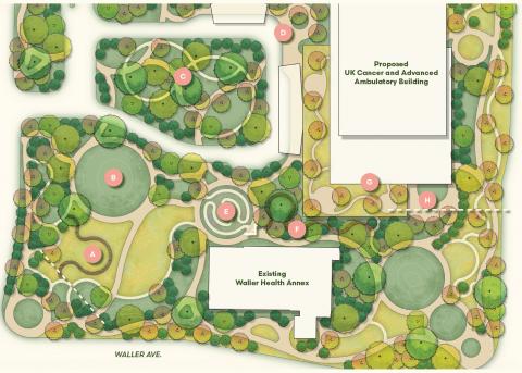 Student design plan for hospital space