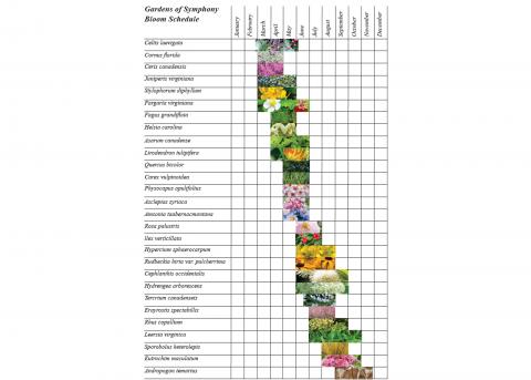 Plant palette by second year students for their project.