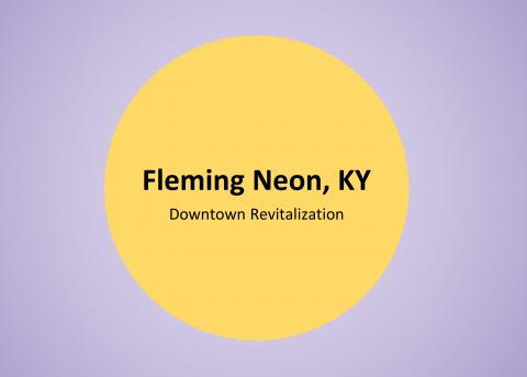 Graphic introducing Downtown Revitalization for Fleming-Neon