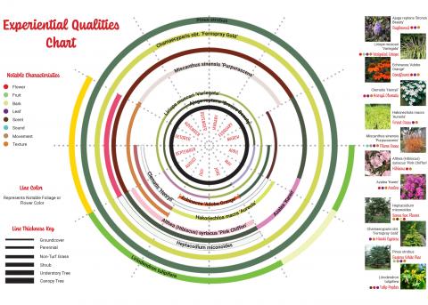 plant experiential chart