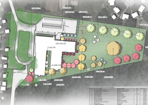 Planting plan by fourth year student.