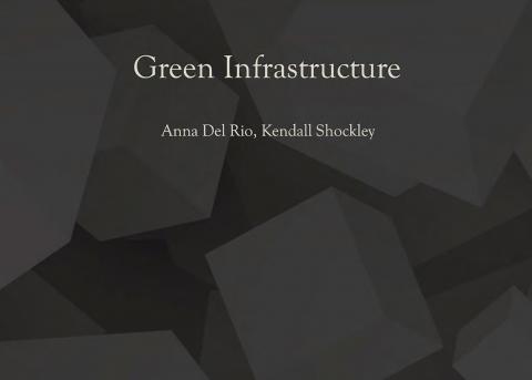 Graphic introducing Green Infrastructure for Fleming-Neon